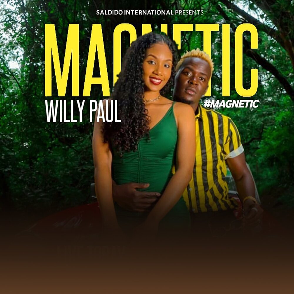 Песня магнетик. Willy Paul. Magnetic группа. Песня Magnetic. Illit Magnetic mp3.