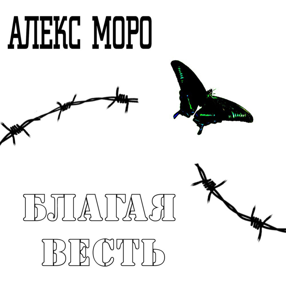 Алекс Моро. Алиса Стерх. Сберегла крыла. Стерх Алиса текст.