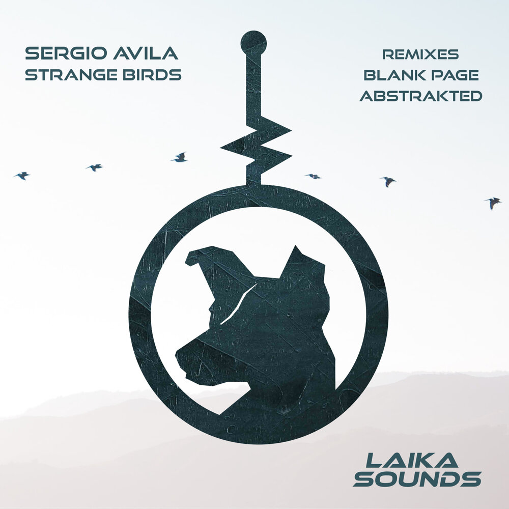 Birdy strange birds. Sergio Avila - outspace. Strange Birds текст. Strange Birds перевод песни на русский.