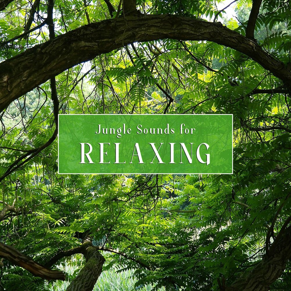 18. Ambient sounds 1. Ambient sounds 1. Ambient sounds. 18.