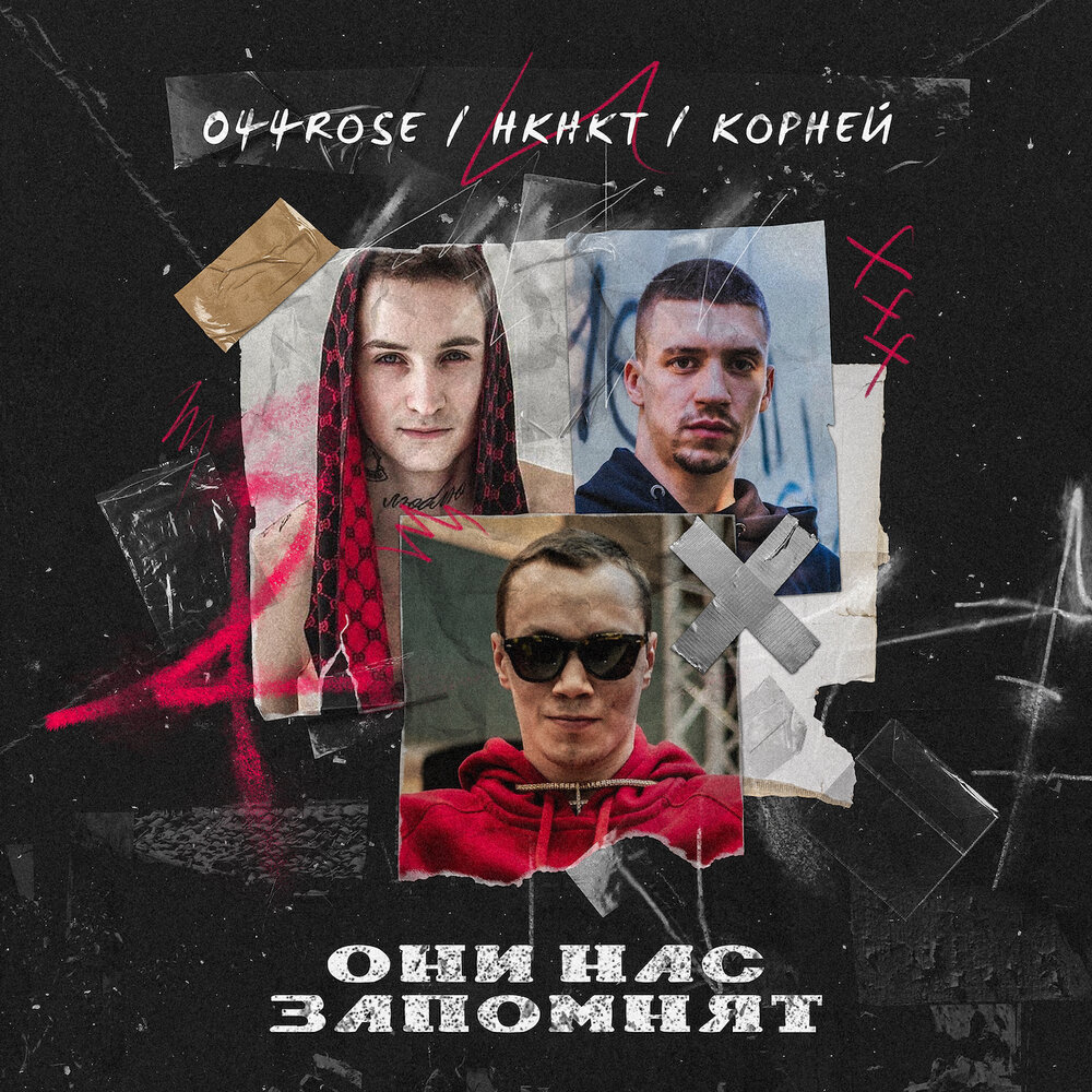 Корни растений. Роуз корни. Роуз корни. Корень. Роуз корни.