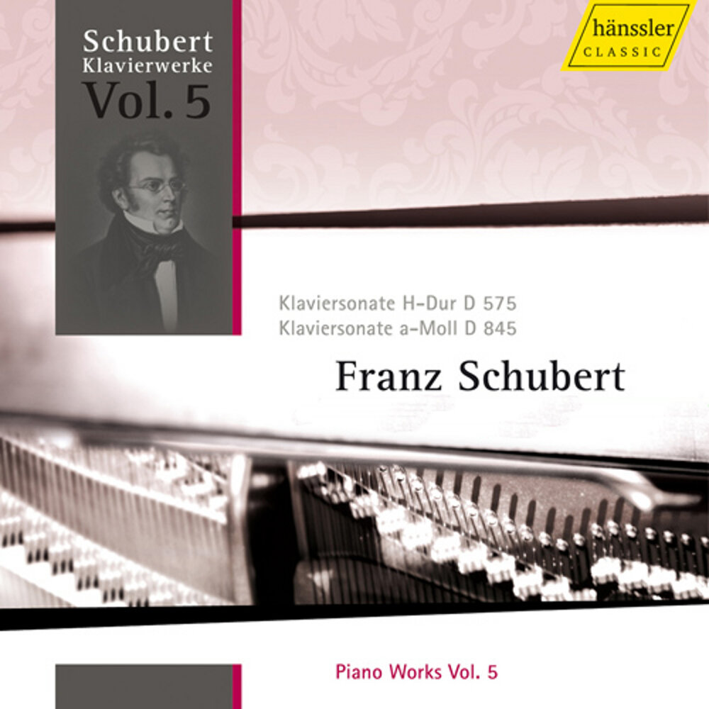 Шуберт фортепиано слушать. Герхард Оппитц. Шуберт за фортепиано. J. Schubert Concerto c dur. Josef. Schubert Concerto c dur.