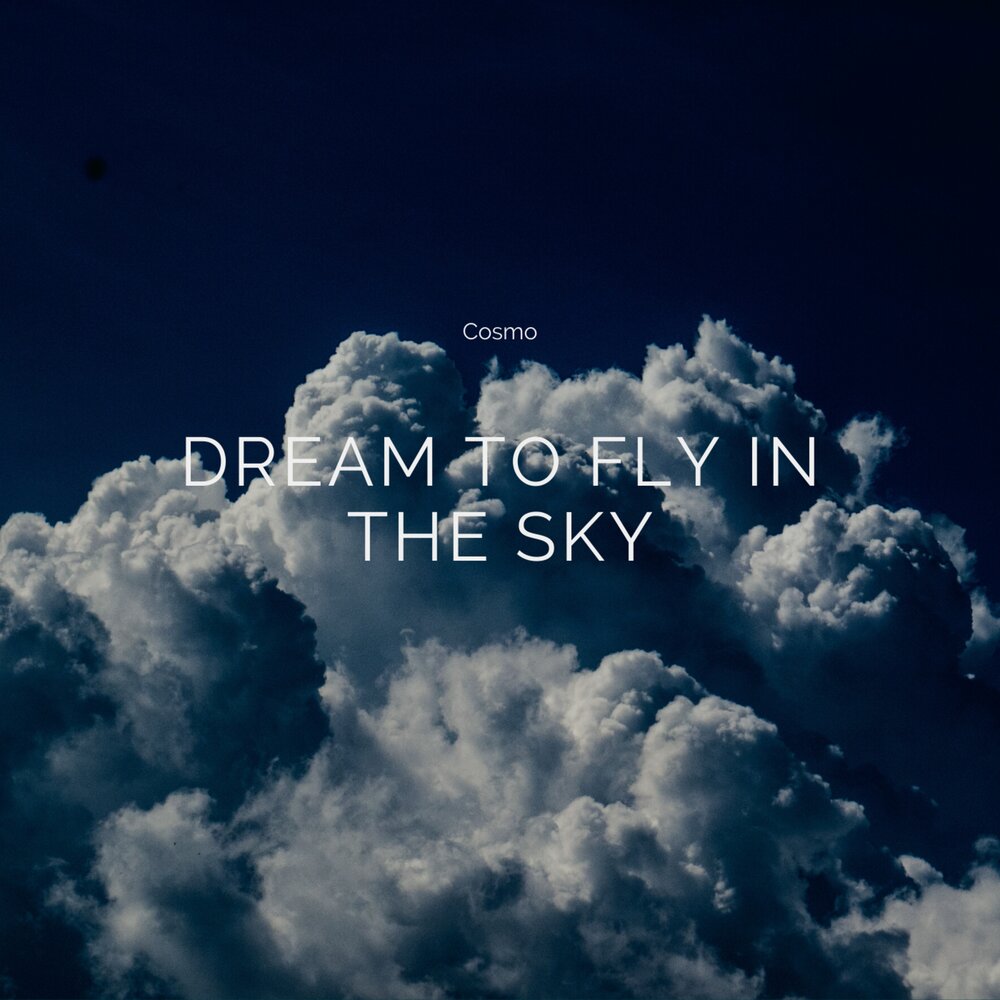 Come like dream. Fly Sky. Fly in the Sky. Sky like Dreams. Dream Fly.
