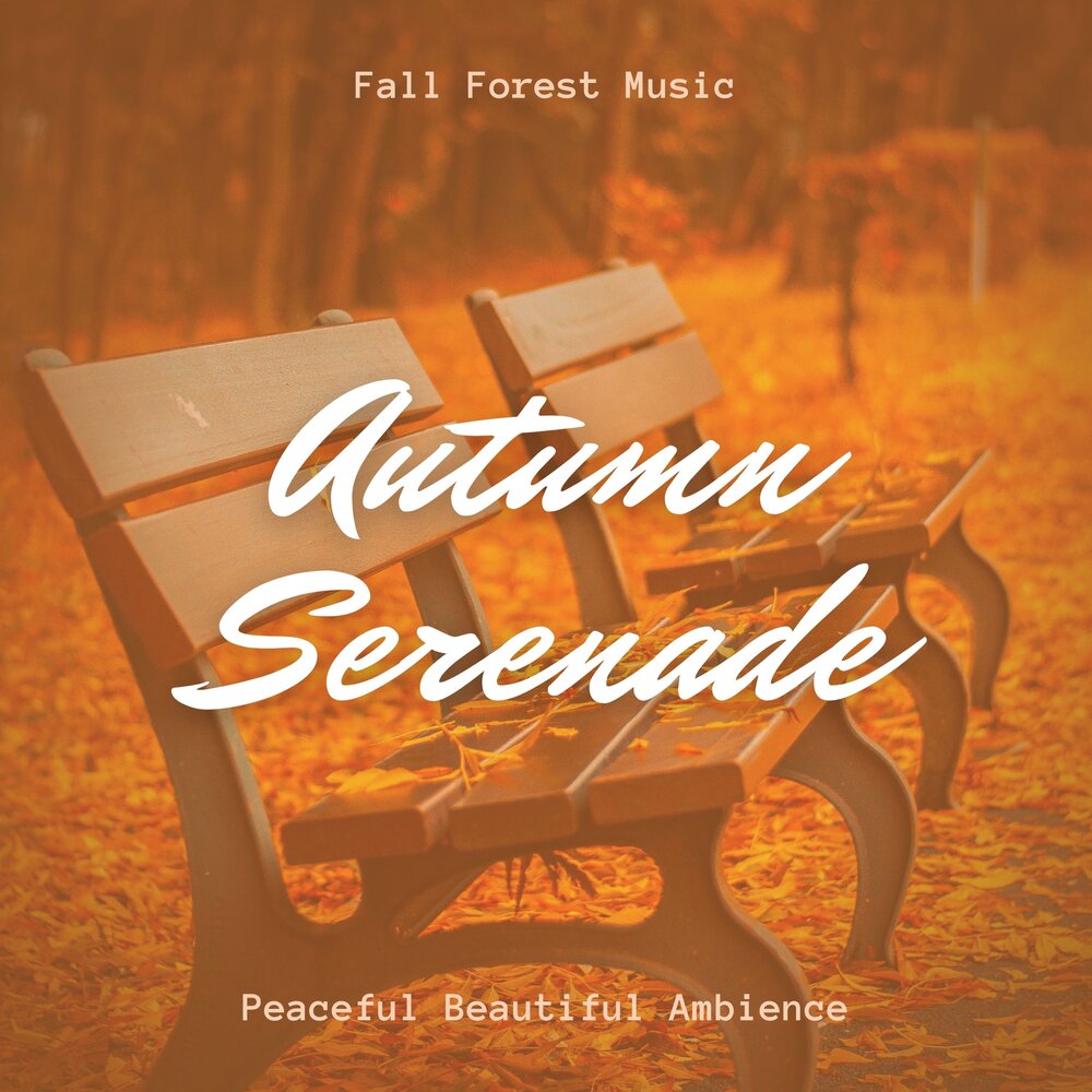 Autumn Serenade. Sweet Dreams Sound of Legend.