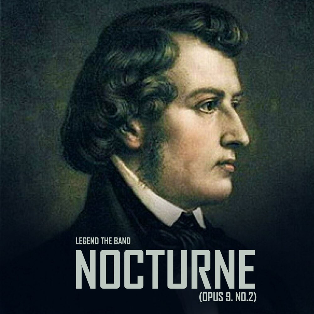 Б шопена. Фредерик Шопен. Фредерик Шопен (1810-1849). Фредерик Франсуа Шопен. Фредерик Шопен фото.