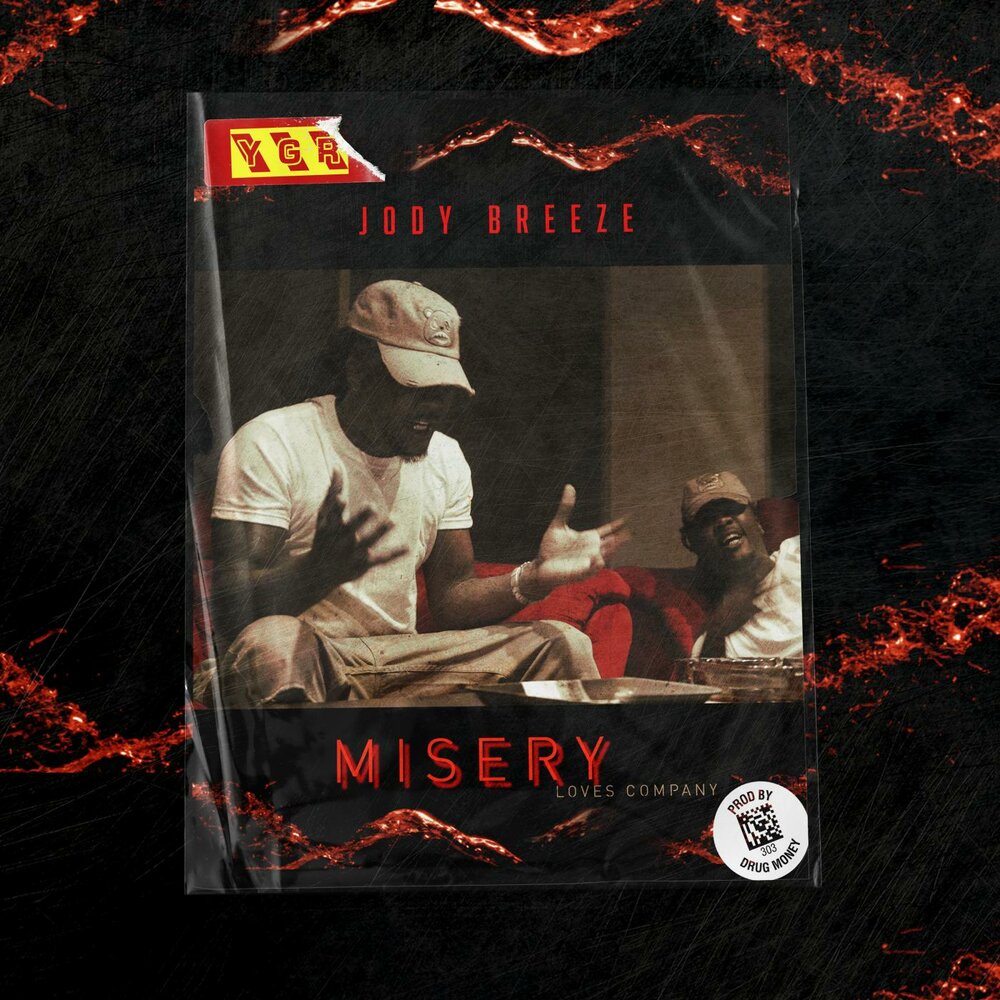 Misery meat перевод. Misery Loves Company. Misery песня.