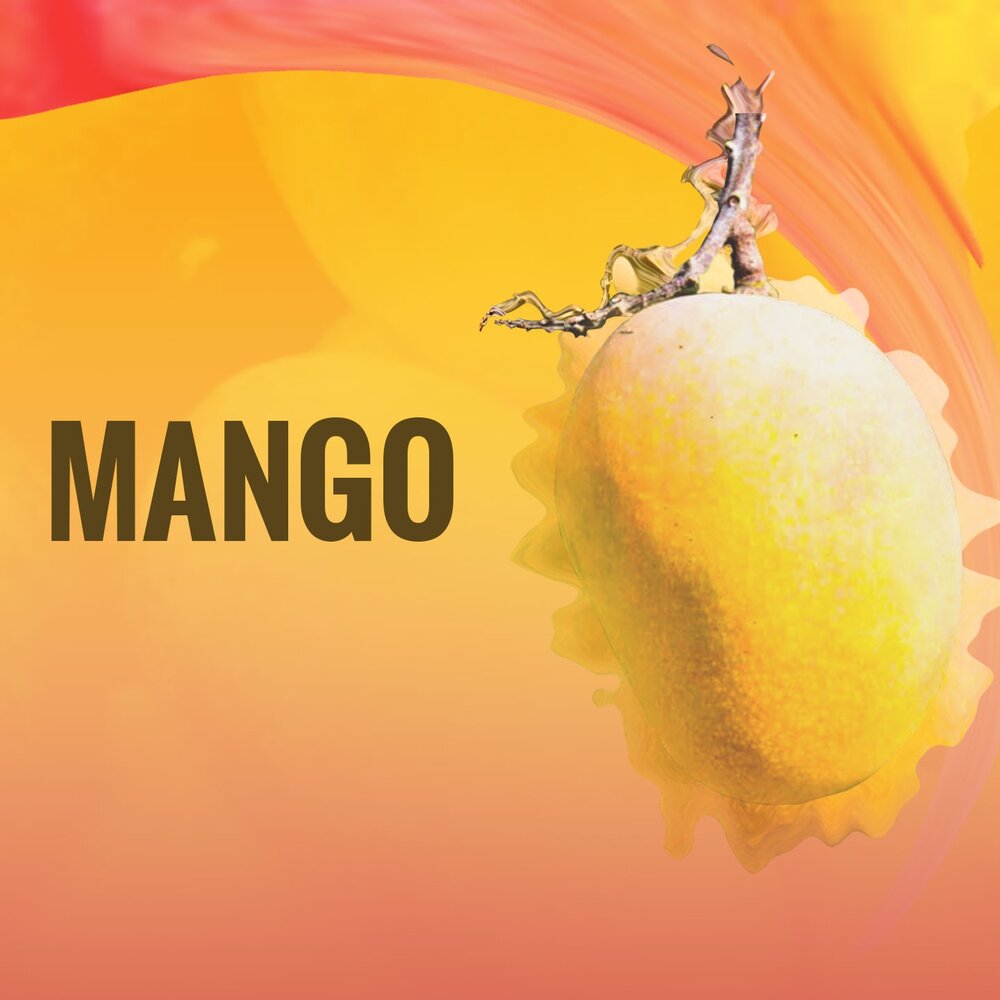 Песня mango mr. Mango музыка. Манго песня. Манго музыка слушать. Приложение с манго для музыки.