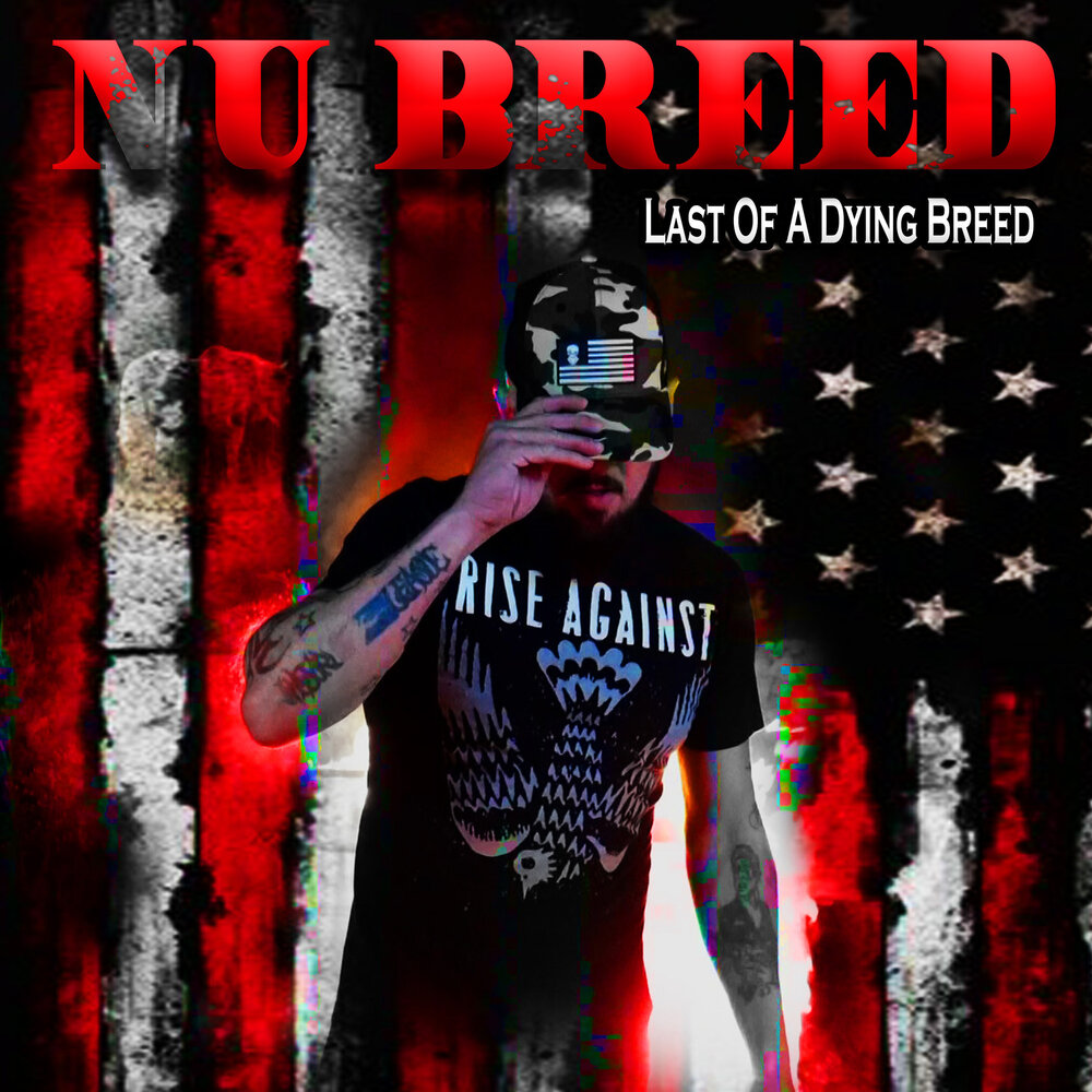 Get off the beaten path. Группа the breeders. Last breed. Мистер 100. Last breed.