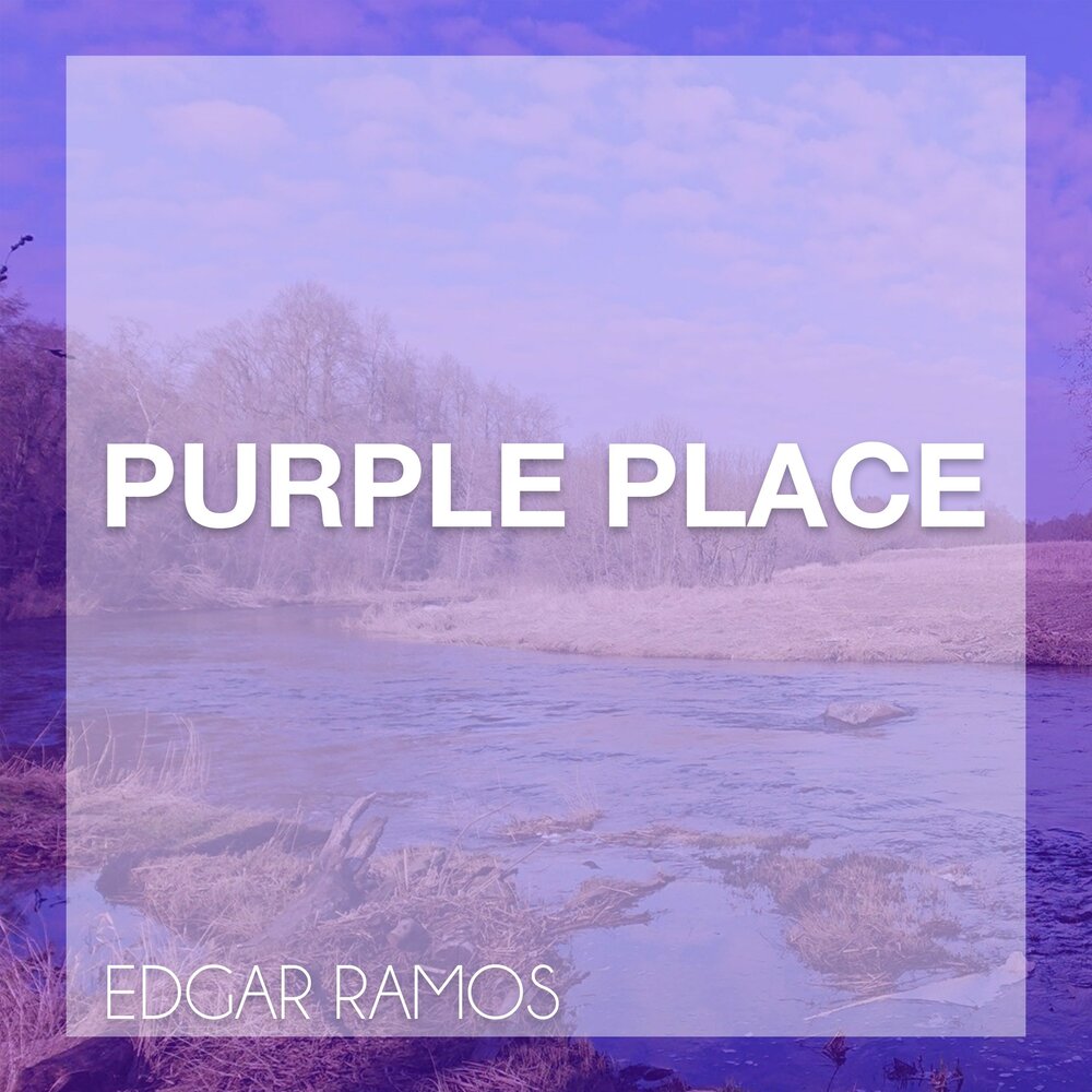 Purple place. Перпл Плейс. Е Purple place. Purple place back. Purple place кто придумал.