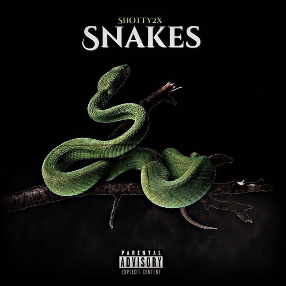 Music snake