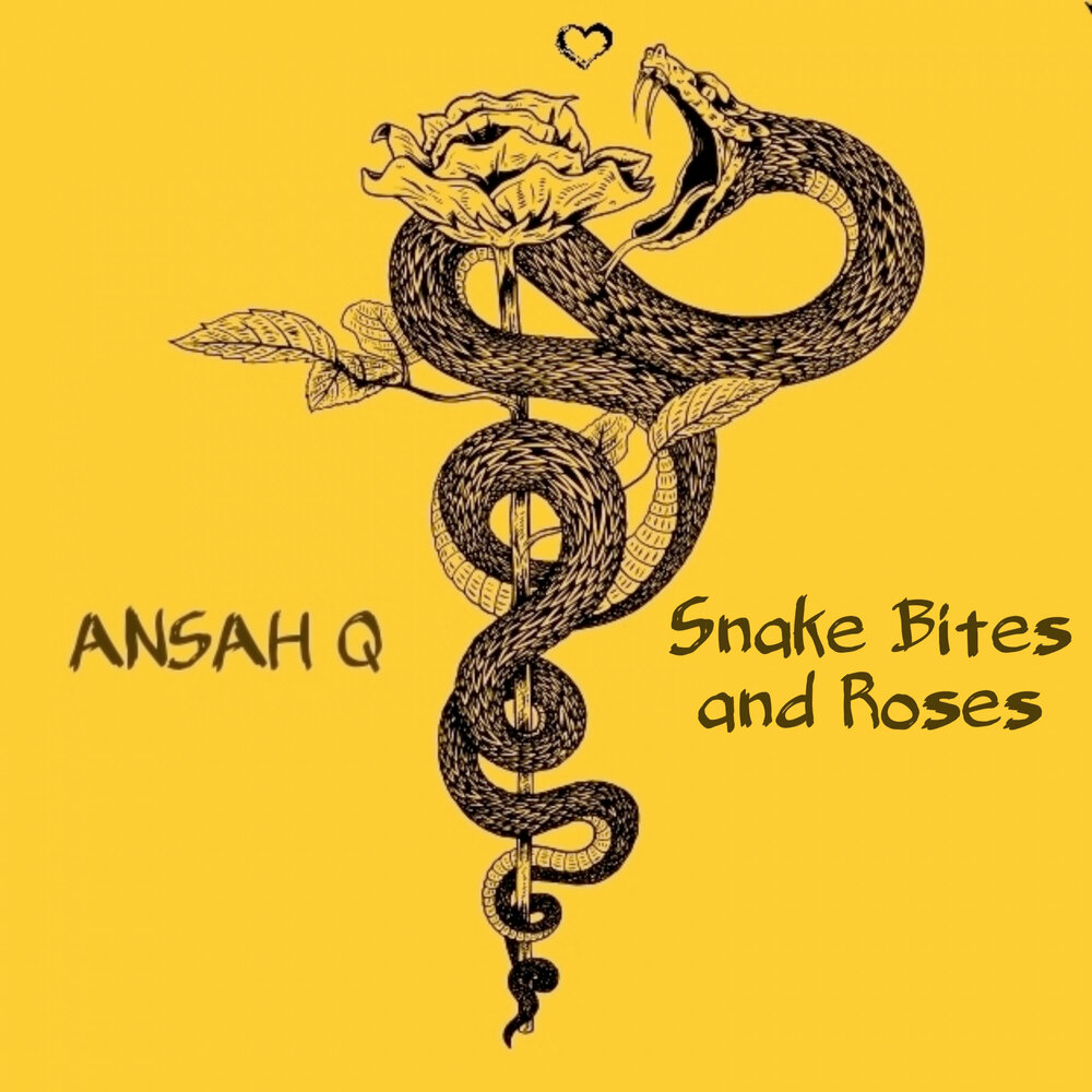 Песня про змейку. Выход змеи музыка. Музыка snake. Sweet snake. Альбом со змеей.