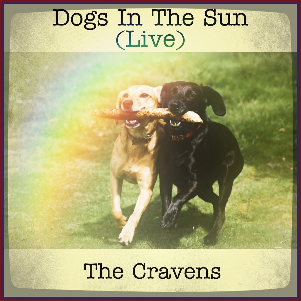 Dogs dogs album. Sun Dog. Sun Dog 2020 Belgium. Хэв дог песня. Dog песня.