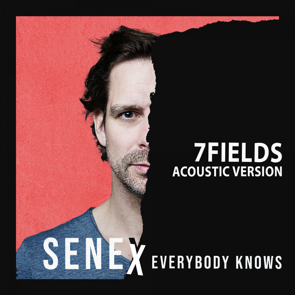 Seven fields. Сенекс. Everybody knows. Senex. Музыка с канала Senex.