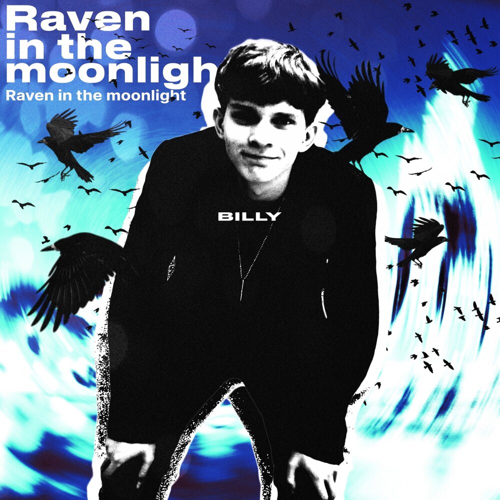 Толстоклювый ворон. Billy raven. Бронзовая ворона. Толстоклювый ворон corvus crassirostris. Billy raven.