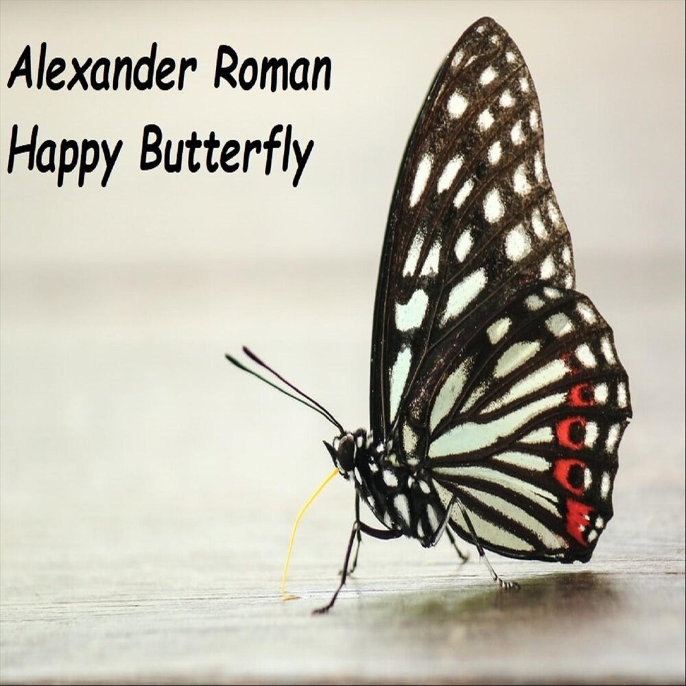 Happiness is a butterfly lana. Butterfly исполнители. Бабочка Happy Carol. Butterfly слушать. So Butterfly Happiness.