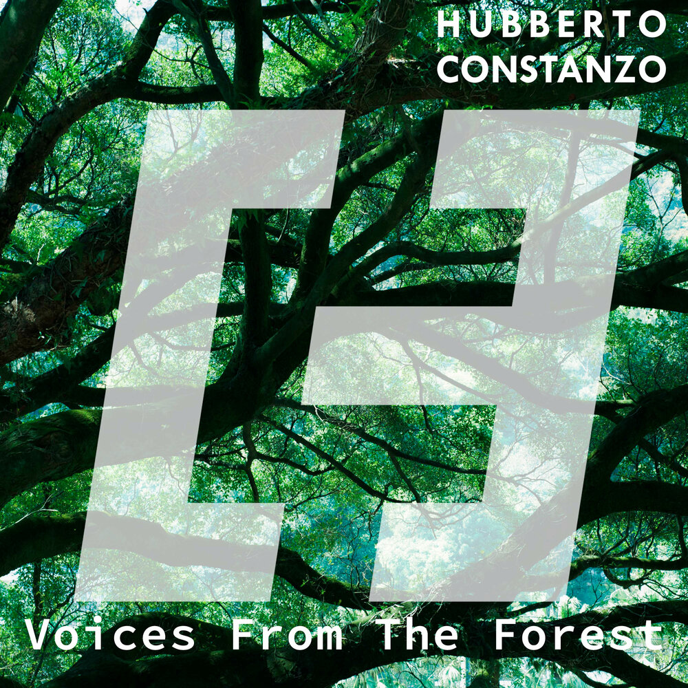 Forest voice