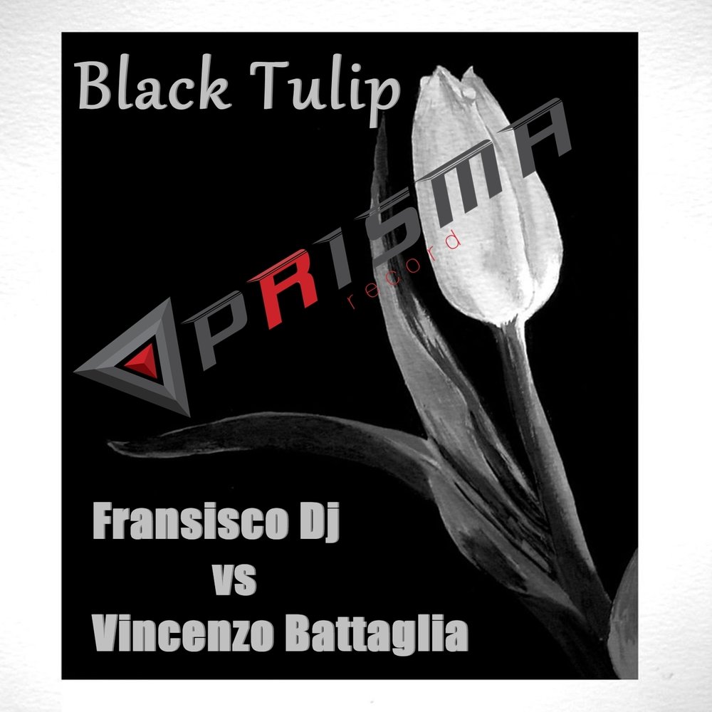 Черный тюльпан слушать. Нортон Кэмпбелл (Black Tulip). Norton IDV Black Tulip.