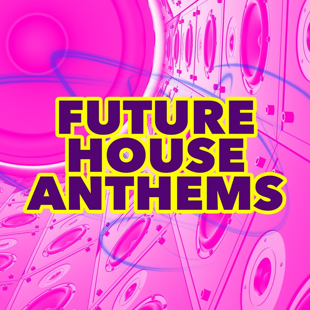 Future songs. 100% House Hits 2000. House Hits 98. Chocolate Puma we Love House - the Anthems.