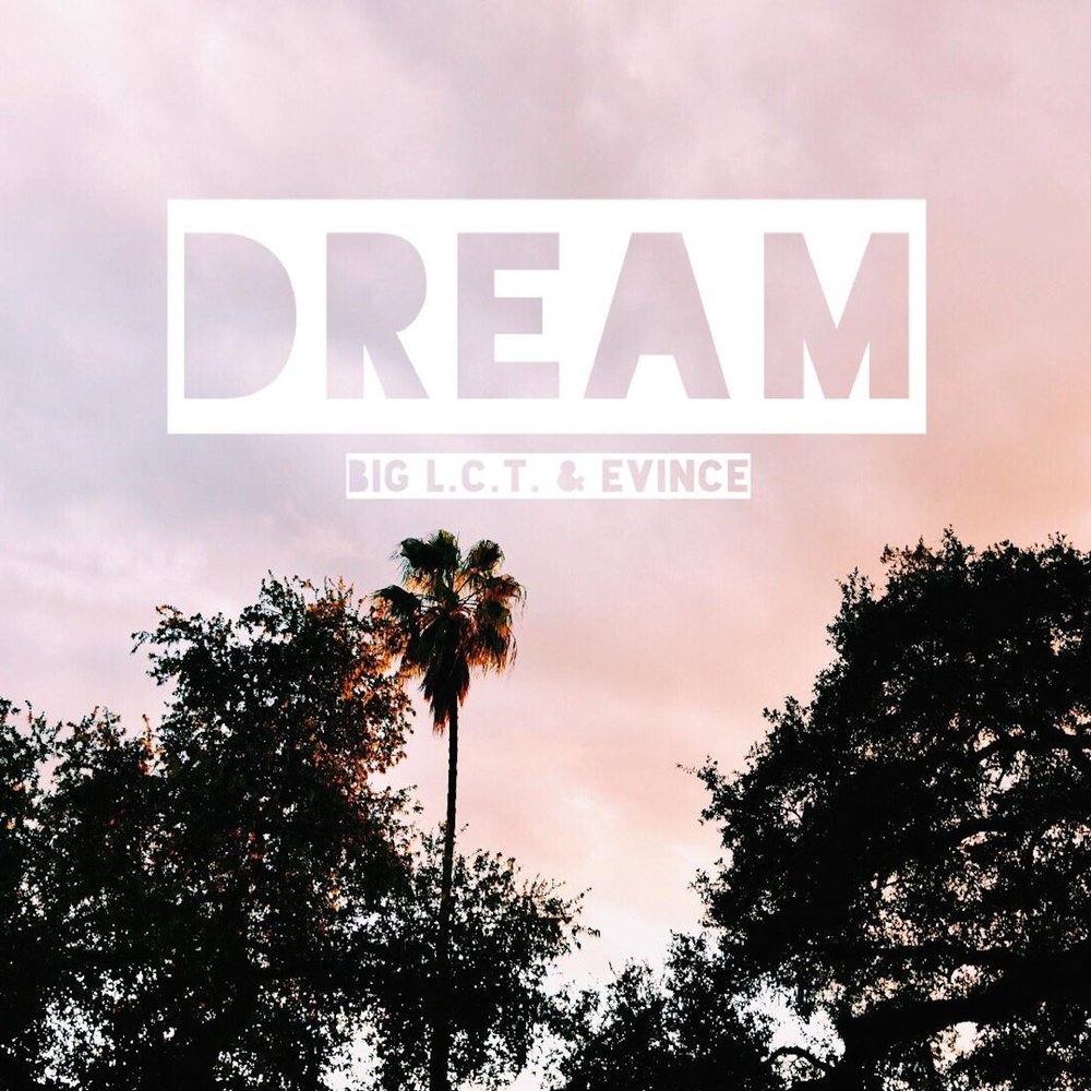 Anti broken sticking. The dream breaks. The dream breaks. Break out. Dream on vinyl.