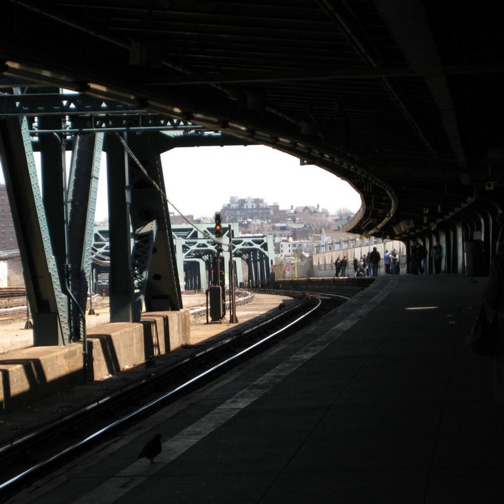 Sh lines. Sh lines. Wolf font. Инициалы sh a. Sh lines.