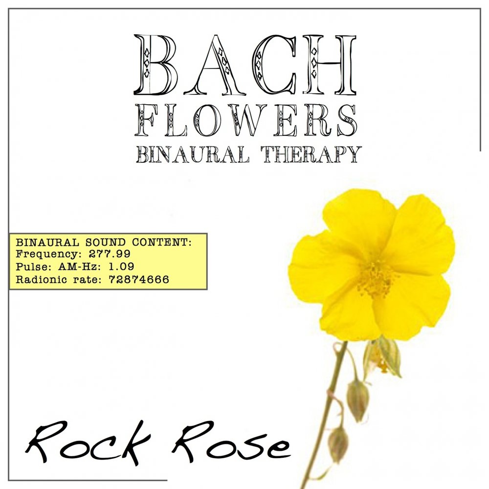 Треки цветы Баха. Рок Роуз цветы Баха. Bach Flower Therapy.