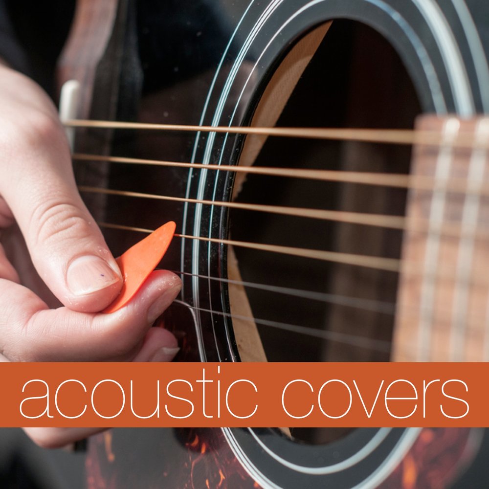 Diamonds and rust acoustic фото 19