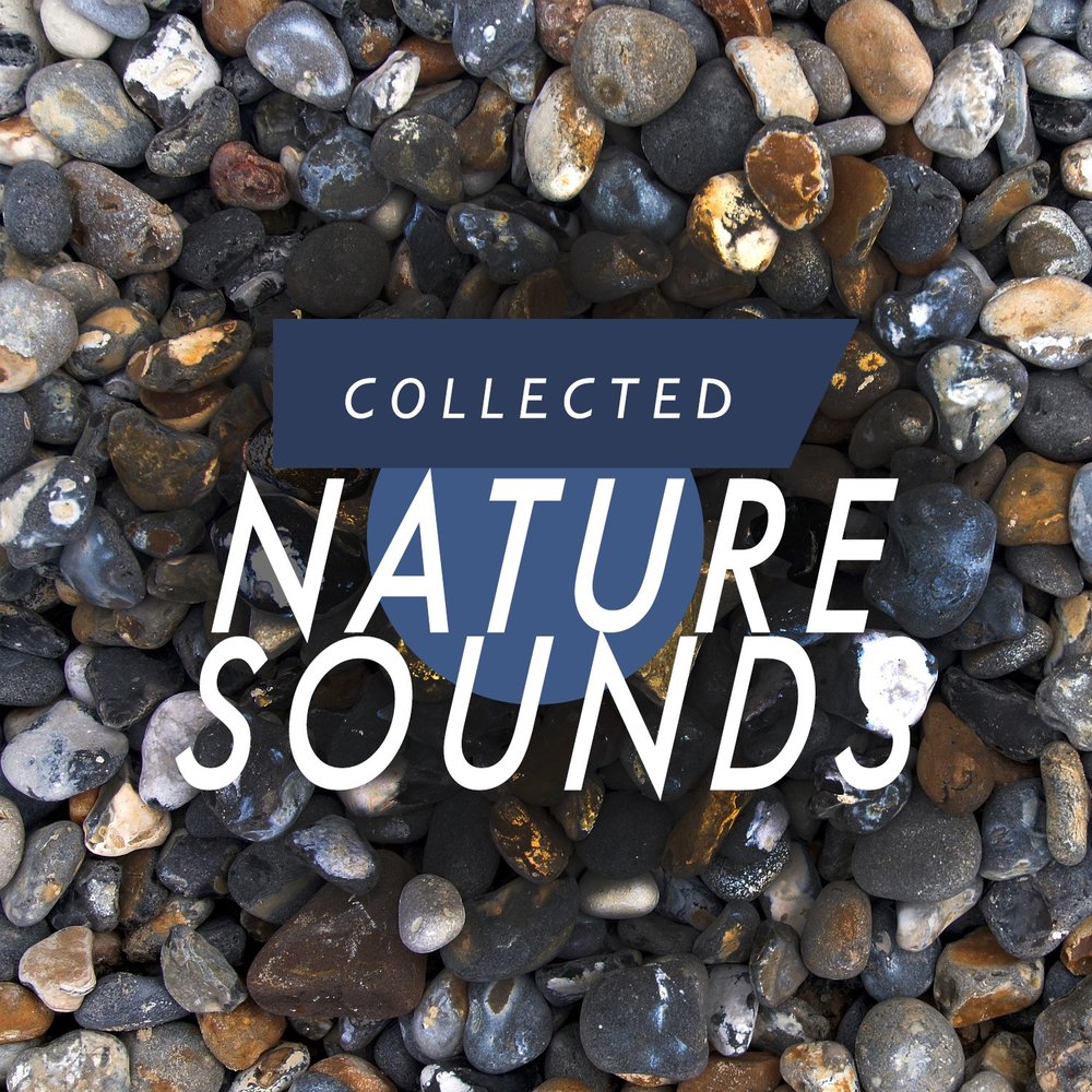 Naturals collection. Nature collection