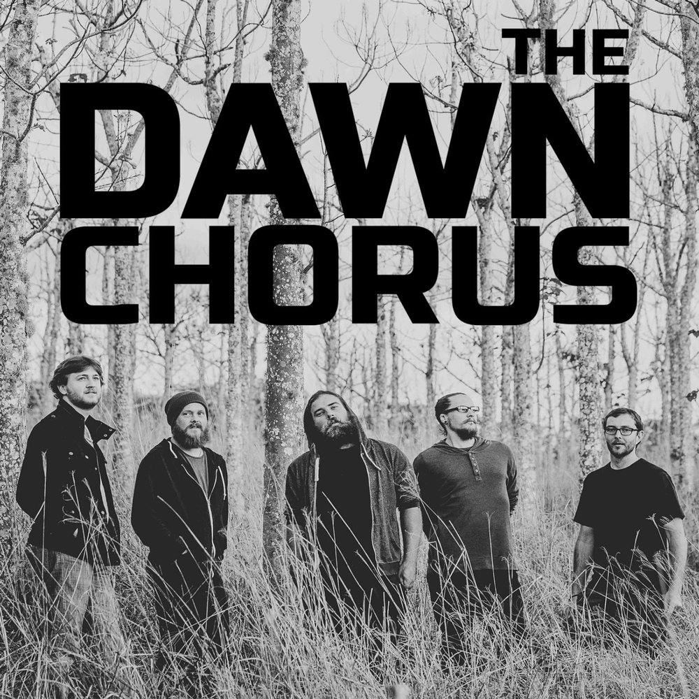 Dawn chorus. Dawn Chorus game. Dawn Chorus novel. Dawn Chorus на русском.