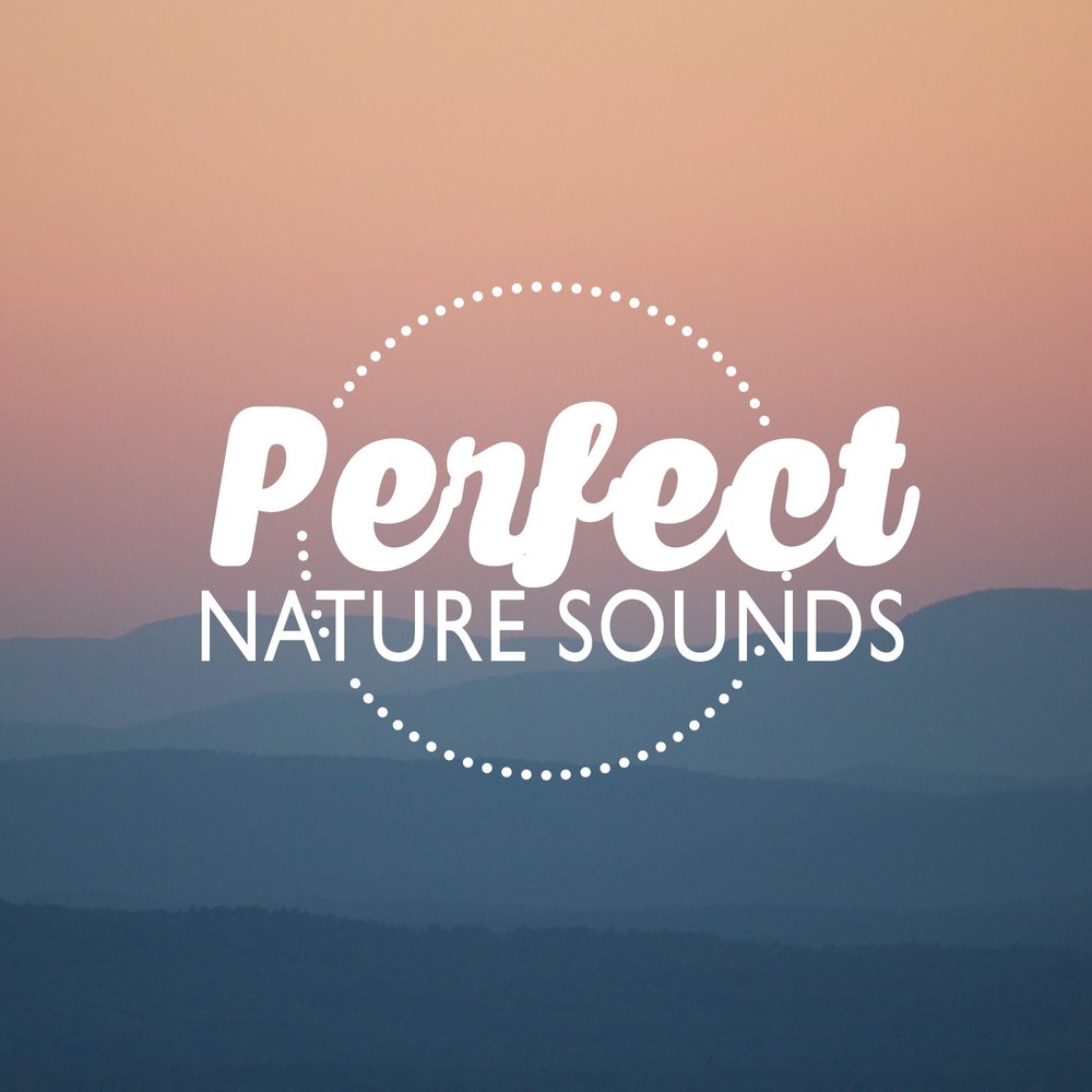 Sounds of nature. Natural sounds. Natural sounds. Nature collection. "nature sounds" && ( исполнитель | группа | музыка | music | band | artist ) && (фото | photo).
