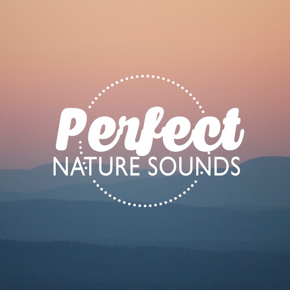 Naturals sounds. Natural Sounds. Sounds of nature. Sounds. Listen to nature.