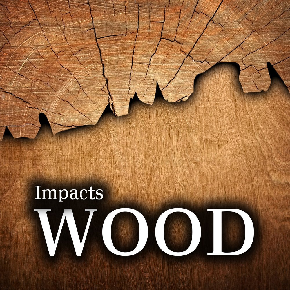 Wood broken Effect. SEO Wood Sound. Woody Break. Hard Wood on you.