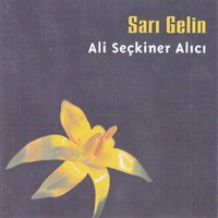 Ali Seçkiner Alıcı