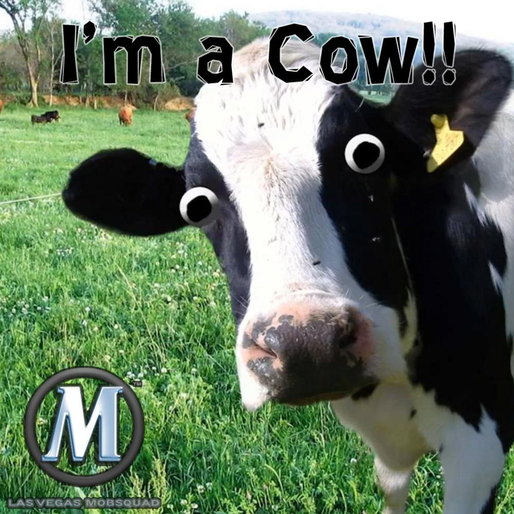 Cow meme