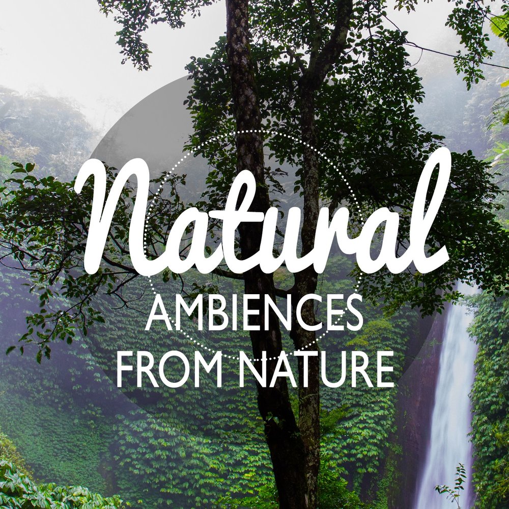 Nature song. Ambience Sound. Nature mp3. Sounds of nature. Natural Sounds.
