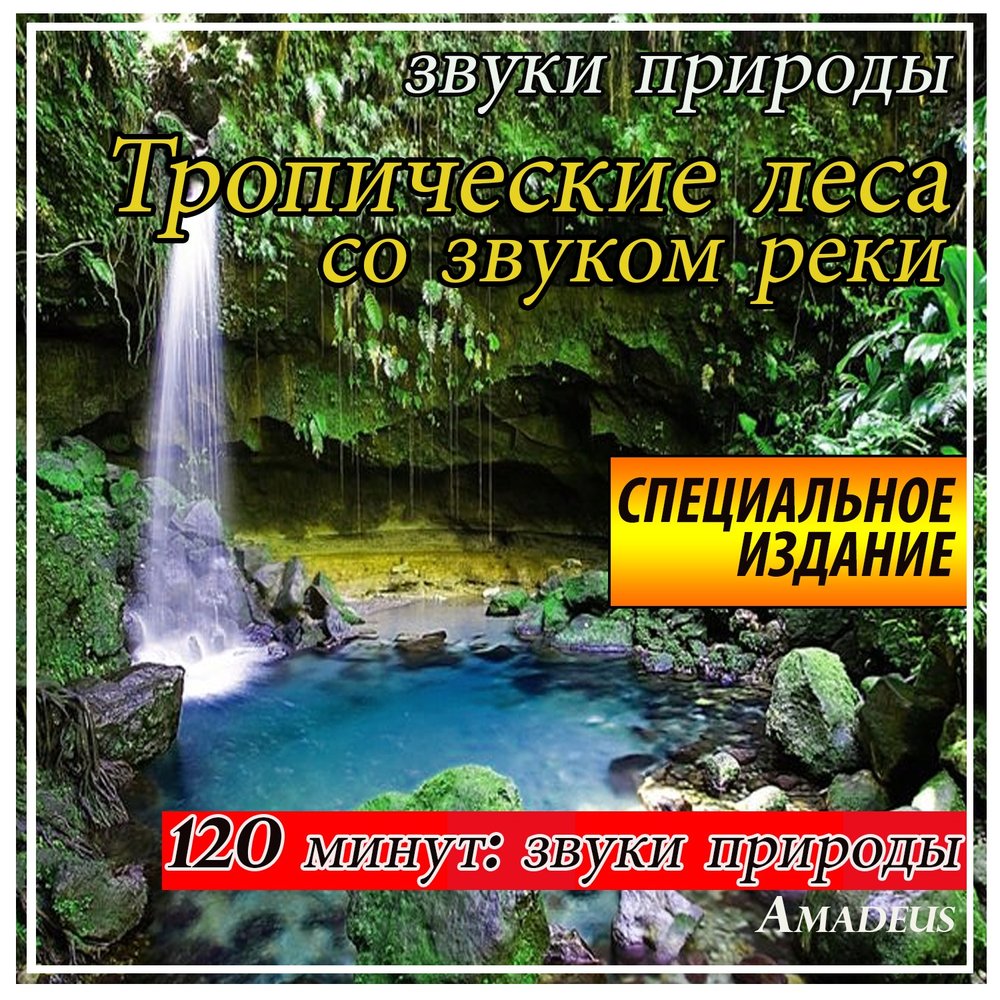 Включи amadeus альбом звуки. Звуки природы. Звуки природы слушать. Звуки природы для сна слушать. Звук реки.