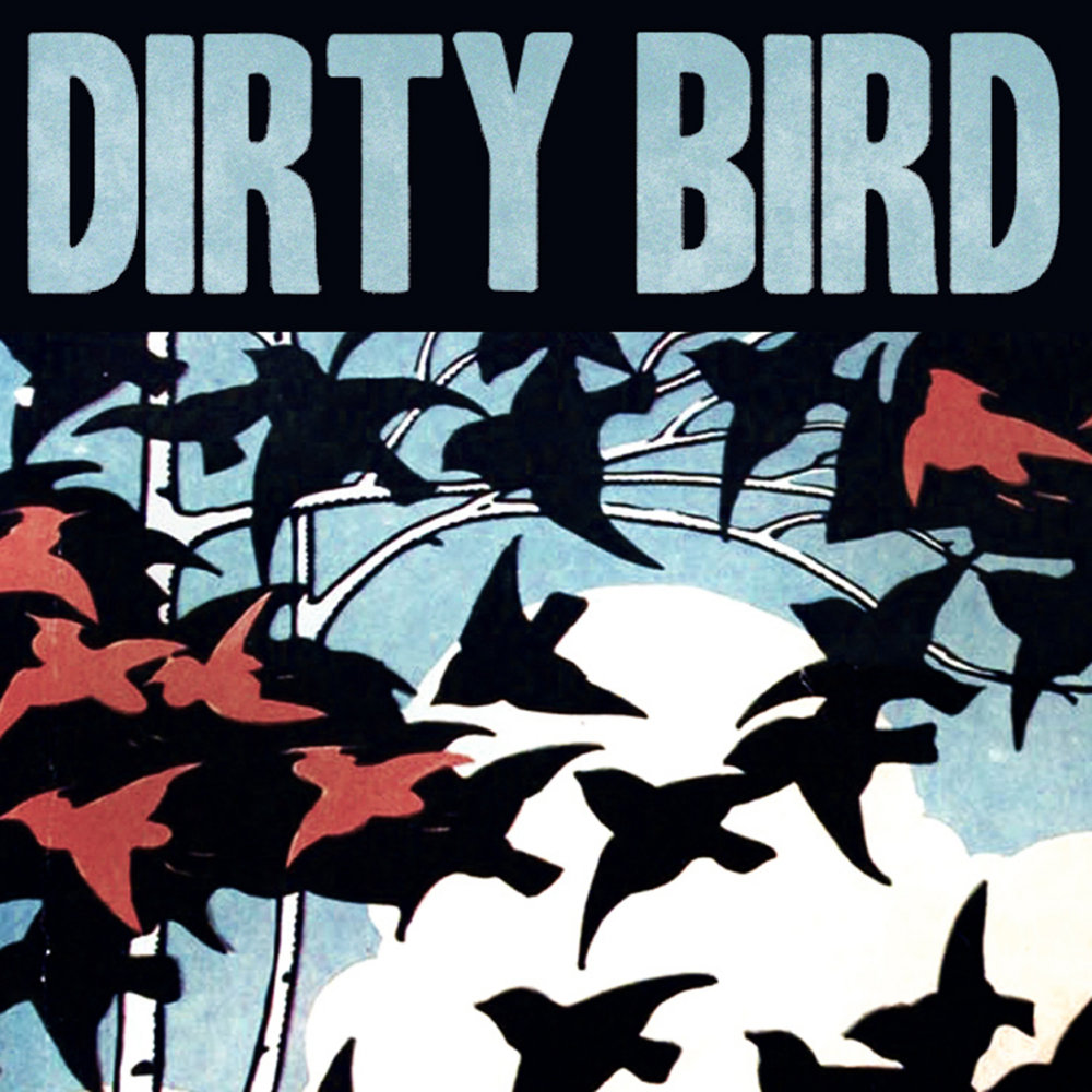 Dirty Bird. Dirty Bird records. Dirty Birdy. Dirty Bird Геншир.