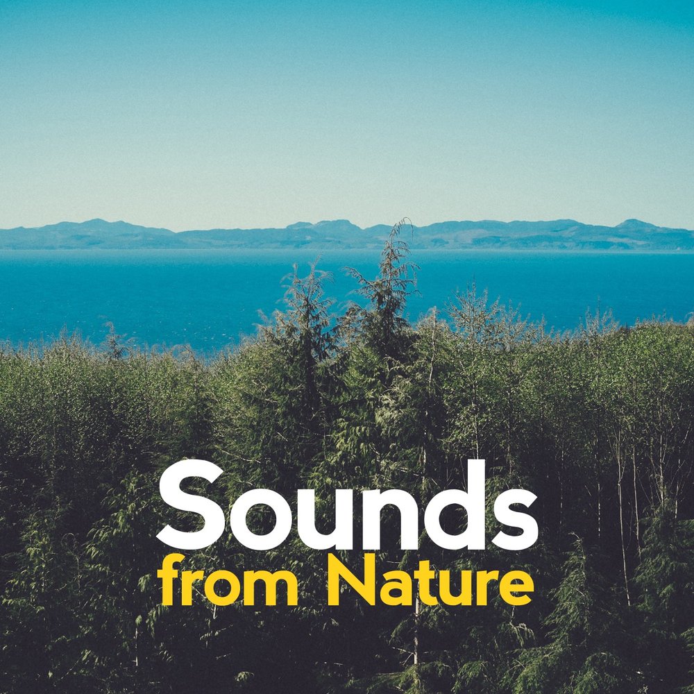 Naturals sounds. Sounds of nature. Natural Sounds. "Nature Sounds" && ( исполнитель | группа | музыка | Music | Band | artist ) && (фото | photo). Nature Sound logo.