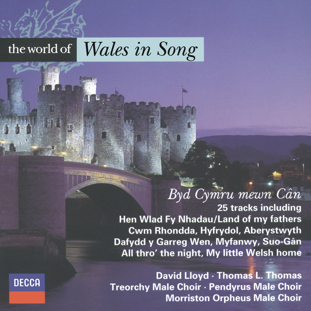 Айстедвод в уэльсе. Фестиваль в уэльсе eisteddfod. The leng of songs wales. Facts about wales. Уэльс англия.