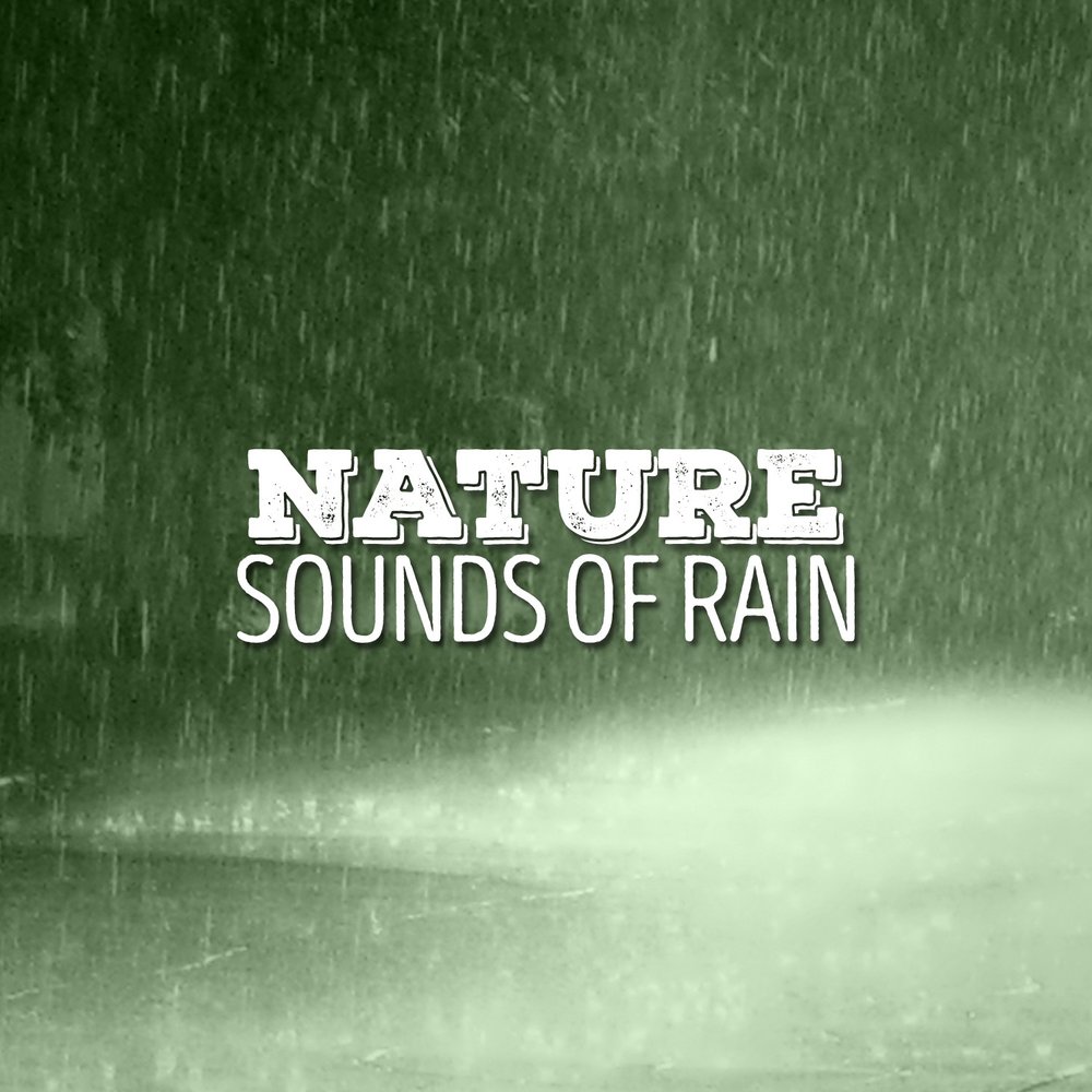 Wednesday wet. Sounds of nature.