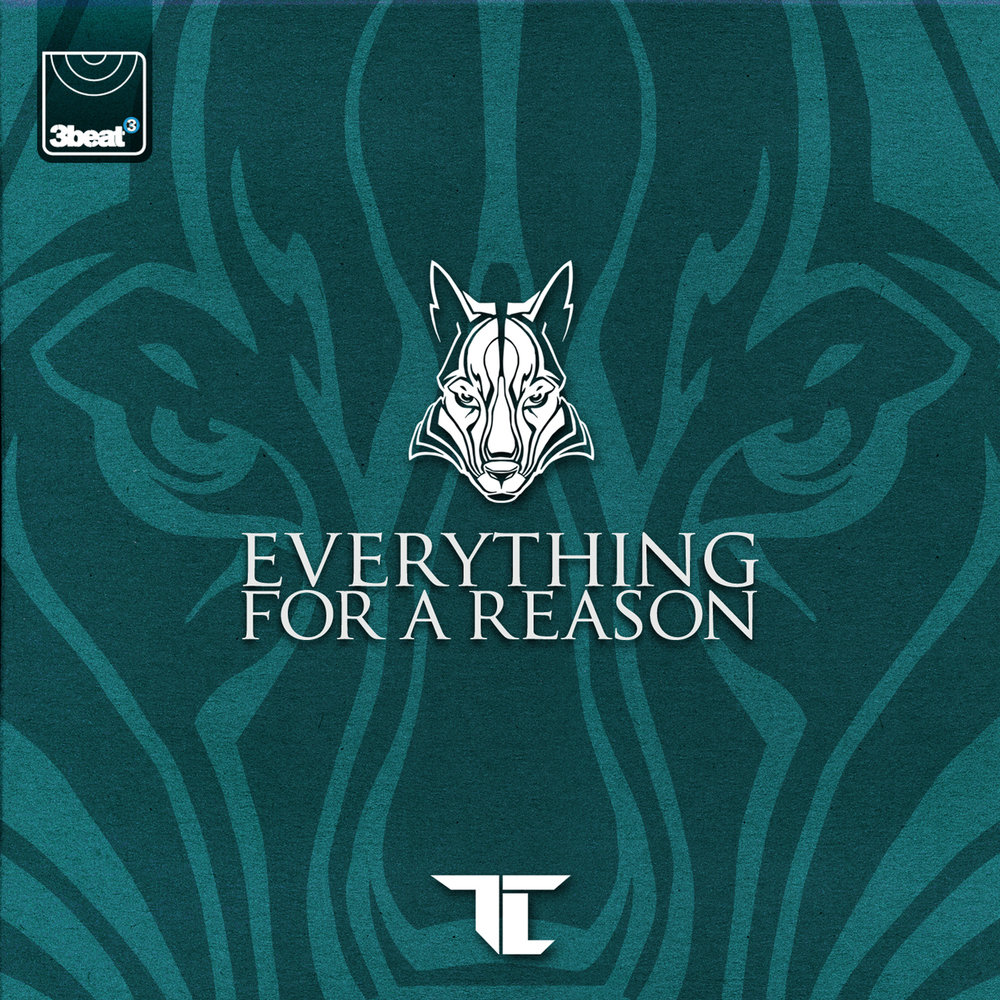 Everything a reason. Everything for a reason tc. everything for a reason tc фото. everything.