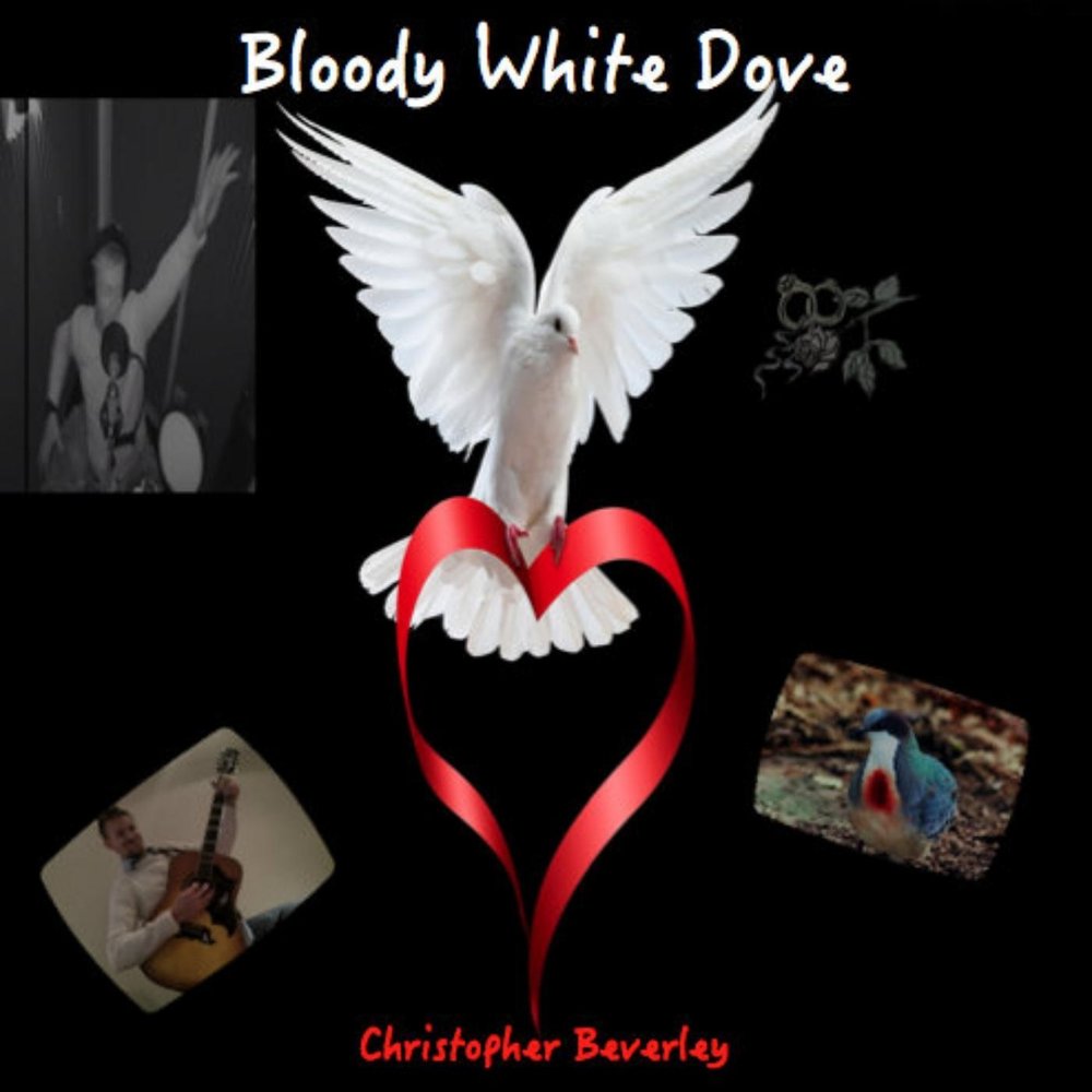 Bloody white. Scatofilia. White dove слушать онлайн бесплатно. Blood doves.