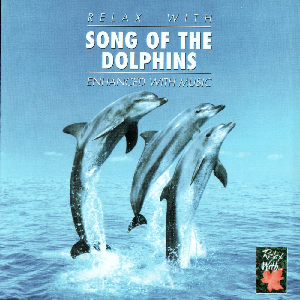 Песня дельфины. CD Дельфин: она. Песня про дельфинов. Дельфины музыка диск.