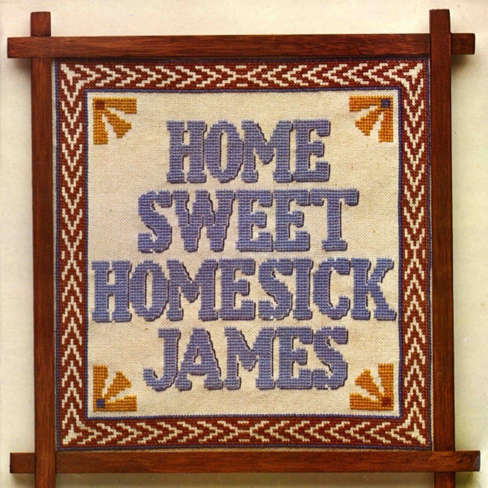 Shake your money maker. Homesick James mp3 torrent.