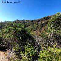 artist-cover