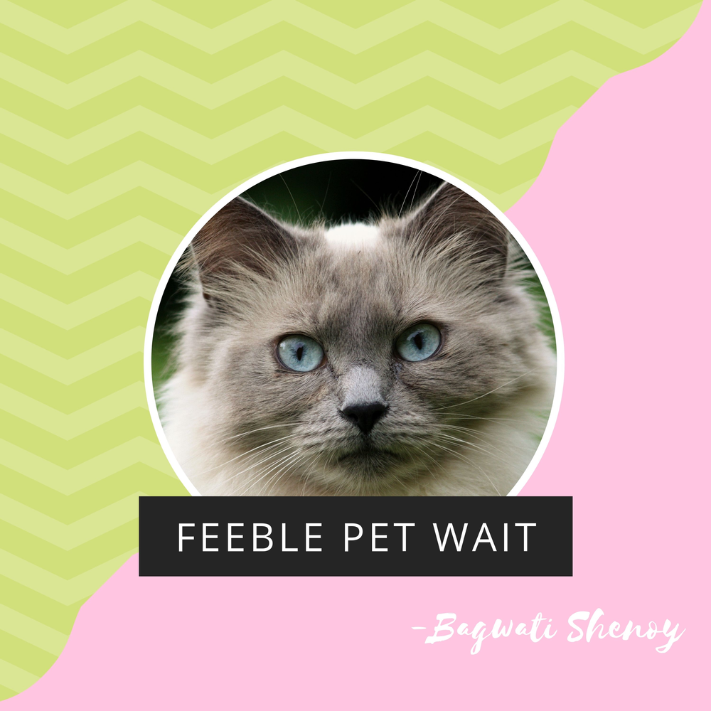 Feeble Pet Wait Bagwati Shenoy слушать онлайн на Яндекс Музыке 