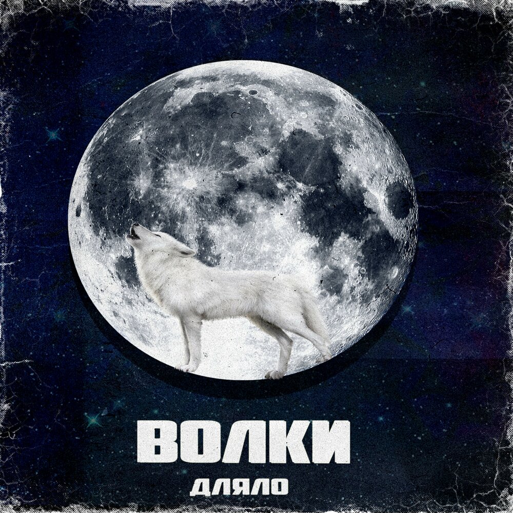 Волк альбом. Би 2 альбомы волки. Волк музыка. Песни альбом волки. Альбом волчонок.