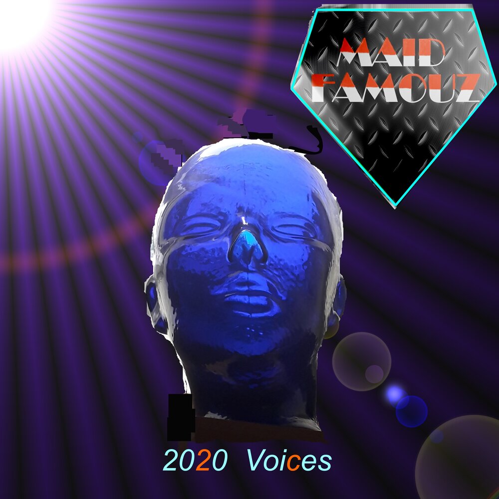 Voices 2020. The Voices 2020.