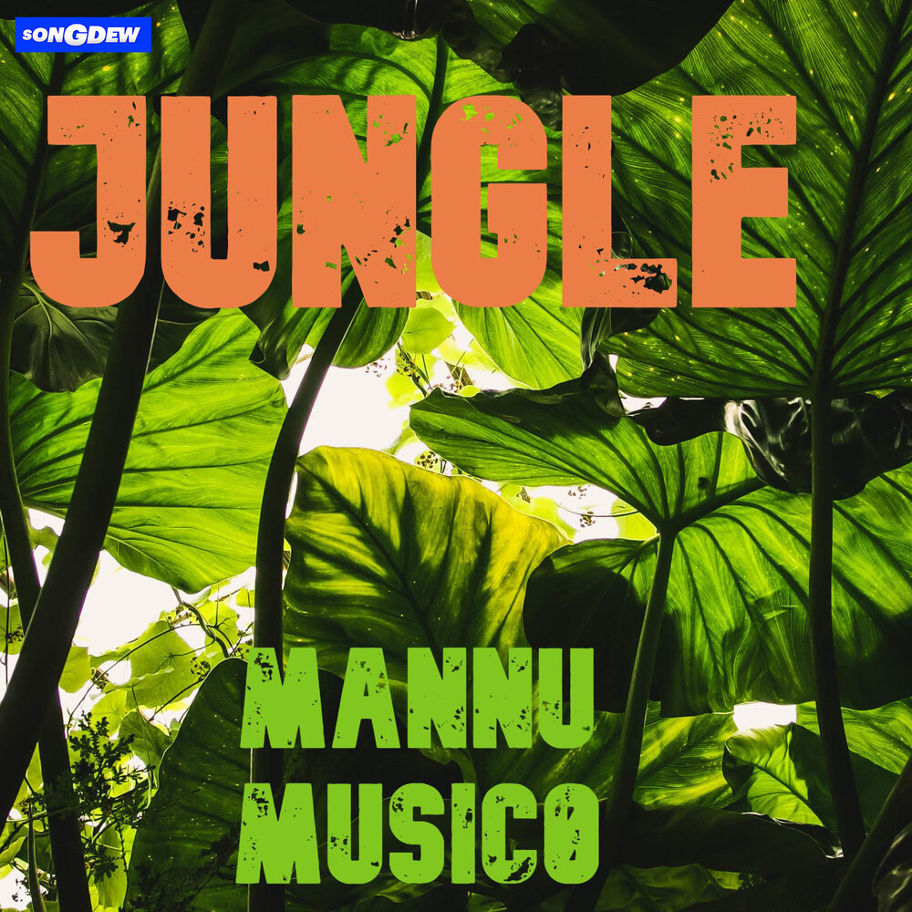 Jungle музыка