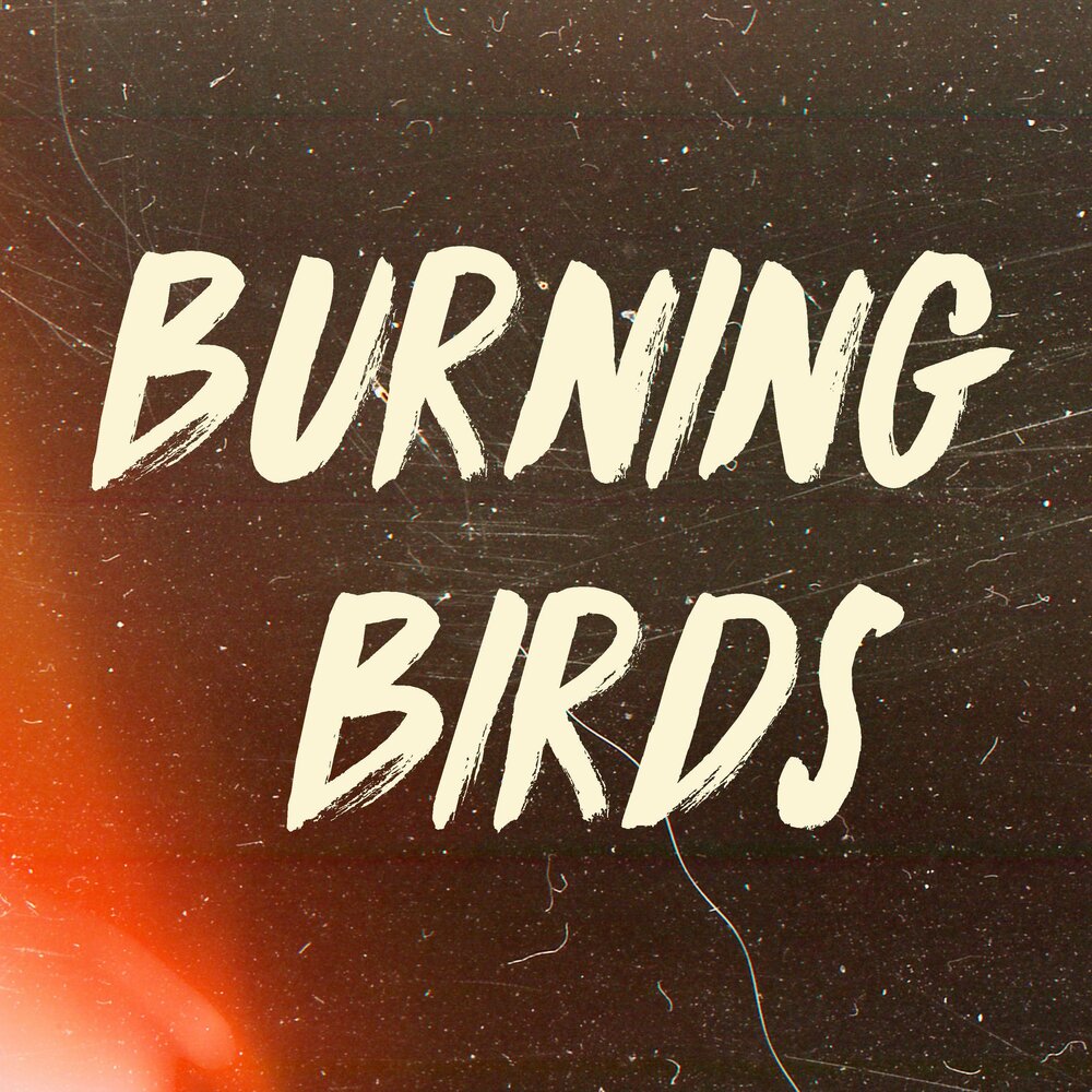 Burning bird