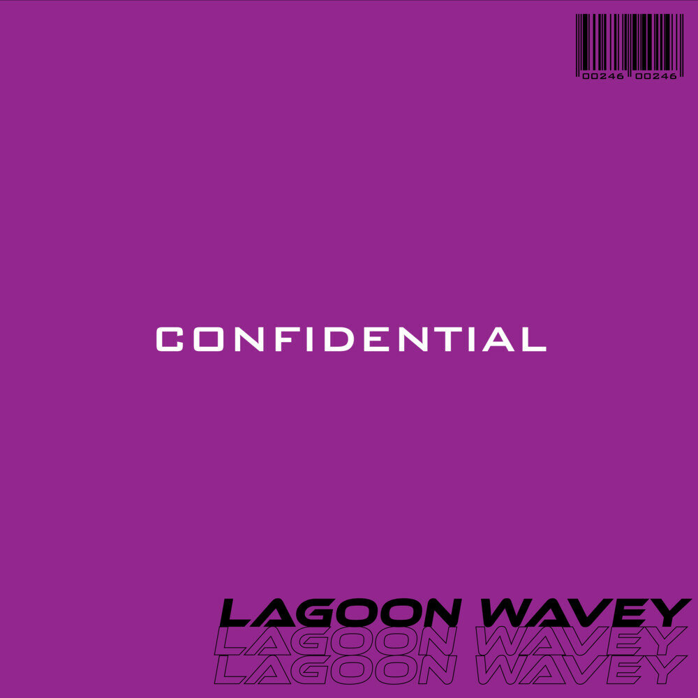 Лагуна песня. Обложка муз альбома Confidential em Fresh.